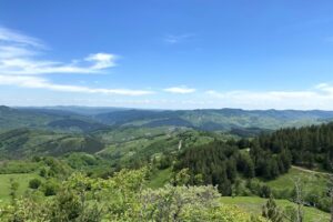 Sfinxul de la Buștea