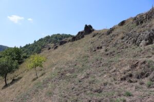 Sfinxul de la Crivina