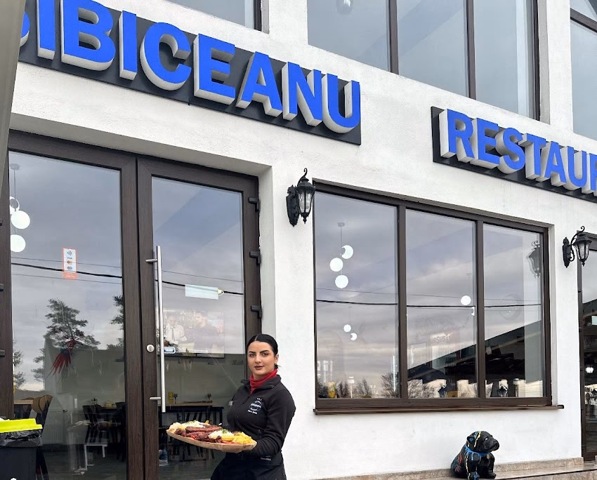 Sibiceanu New Location