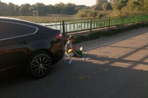 Siliștea Snagovului