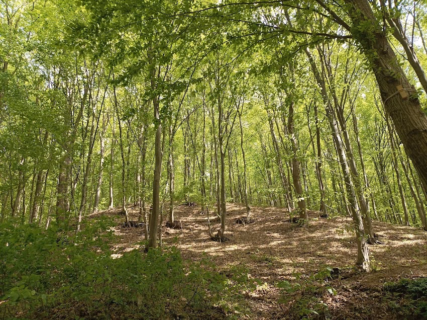 Smart Aventura Parc Buzau