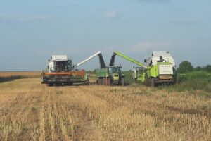 Societatea Agricolă Diana