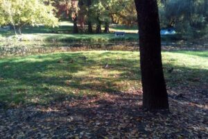 Societatea Pentru Lucrări de Drumuri și Poduri Dolj