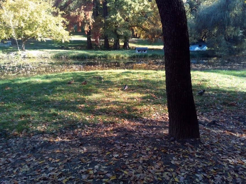 Societatea Pentru Lucrări de Drumuri și Poduri Dolj