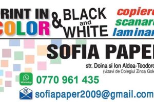 Sofia Paper