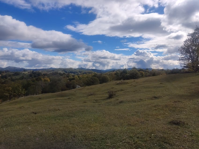 Spulber Carșochești Corăbița Nr 162