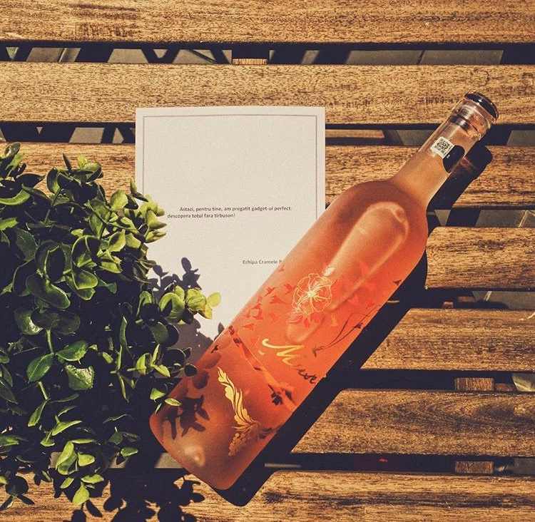 Stația cu VinCramele Recaş