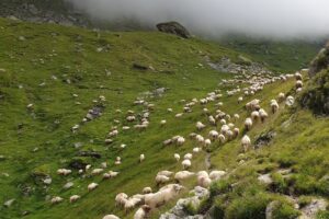 Stațiunea Bâlea Lac