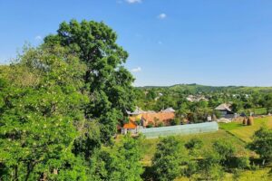 Statiunea Balneocli materica de tratament si Recuperare Medicală Bălțăteşti