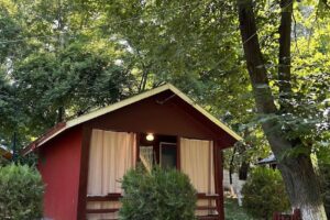 Statiunea Balta Alba