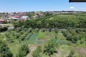 Stațiunea de CercetareDezvoltare pentru Pomicultura Iasi