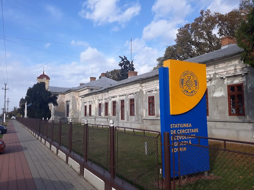 Staţiunea de cercetare şi dezvoltare agricolă Lovrin