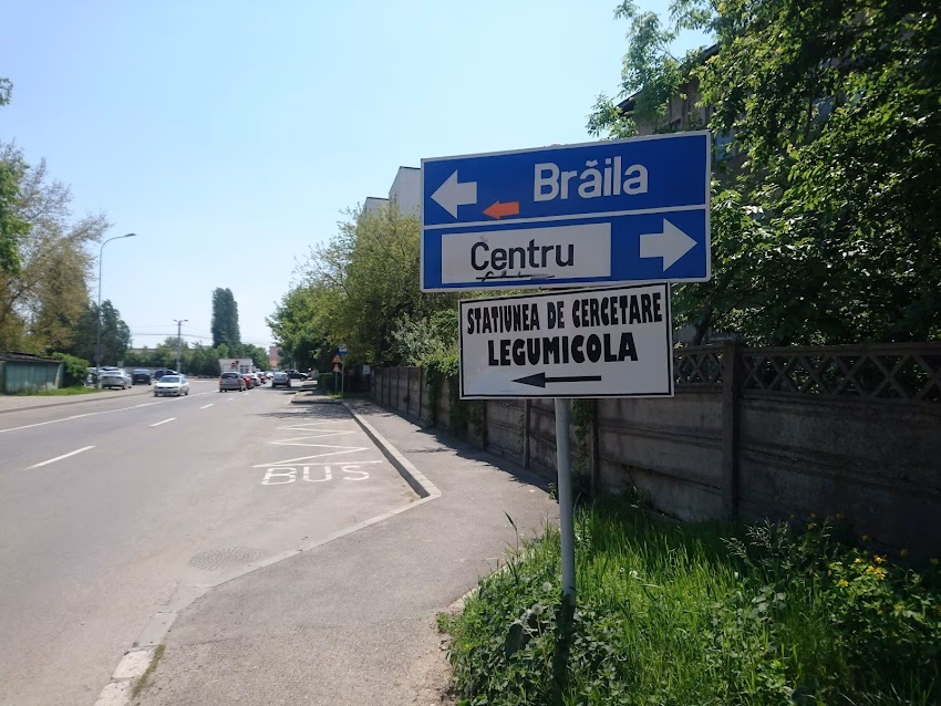 Staţiunea De Cercetare Şi Producţie Legumicolă