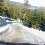 Staţiunea Muntele Băişorii