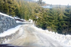 Staţiunea Muntele Băişorii