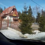 Staţiunea Muntele Băişorii