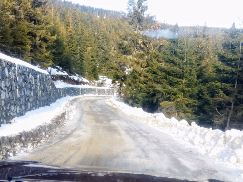 Staţiunea Muntele Băişorii