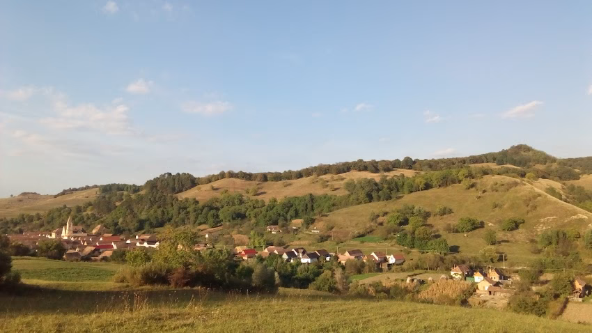 Stejărenii