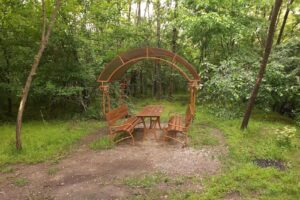 Stejarul de la Cocorăștii Mislii