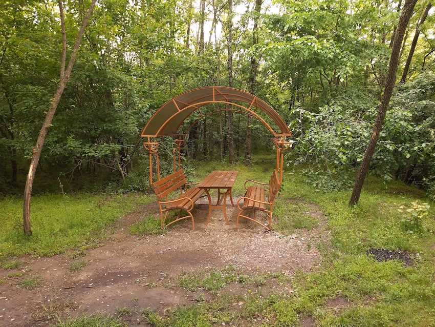 Stejarul de la Cocorăștii Mislii