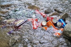 Summer Camp Festival Albesti de Muscel