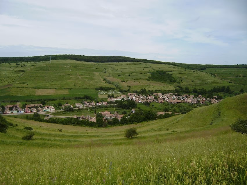 Tătârlaua