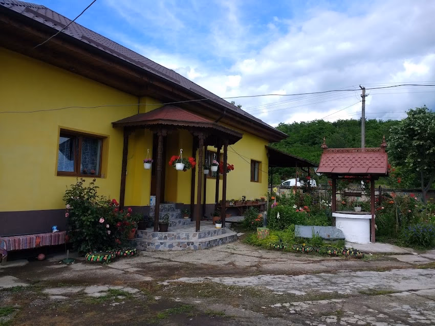 Teiu