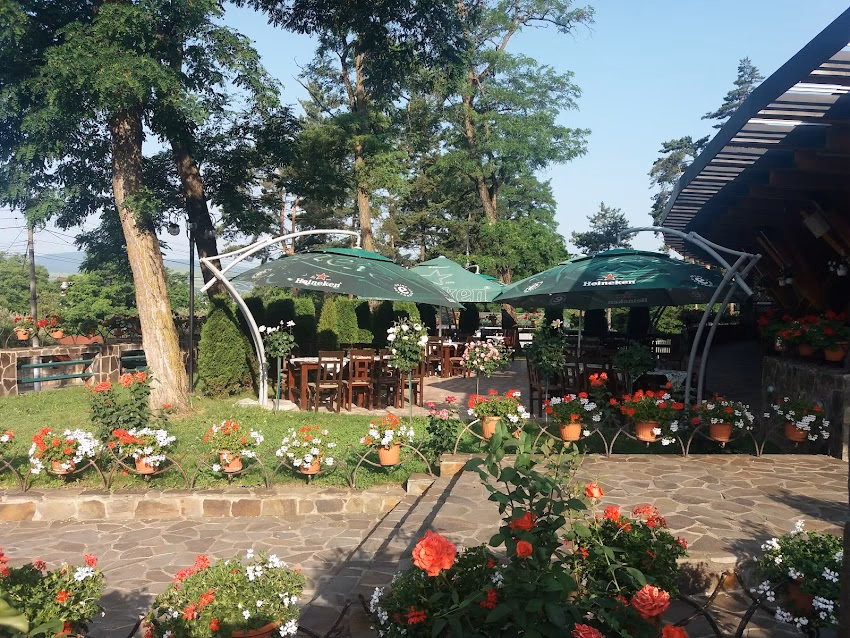 Terasa Casa Arcaşului