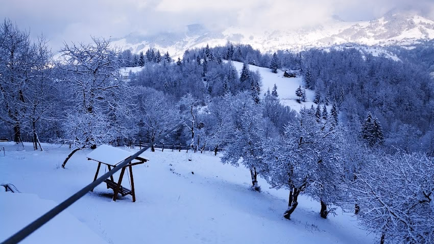 Tiroliana Casa Tăbăcaru