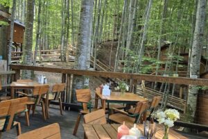 Transfăgărășan Treehouse Village