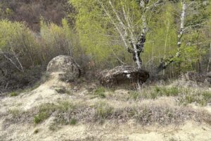 Trovanții coloană de la Ulmet