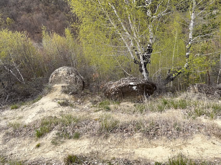 Trovanții coloană de la Ulmet