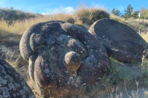 Trovanții coloană de la Ulmet