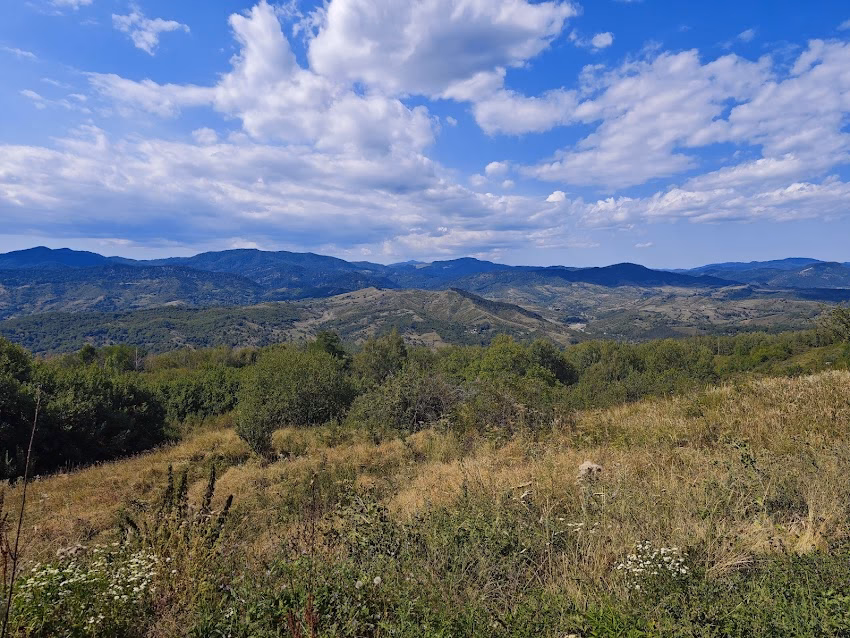 Trovanții de Odăile