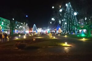 Unitatea fiscală municipală Medgidia