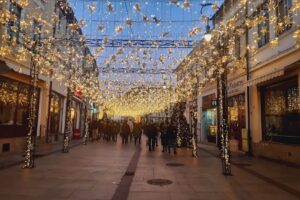 Universitatea din Craiova