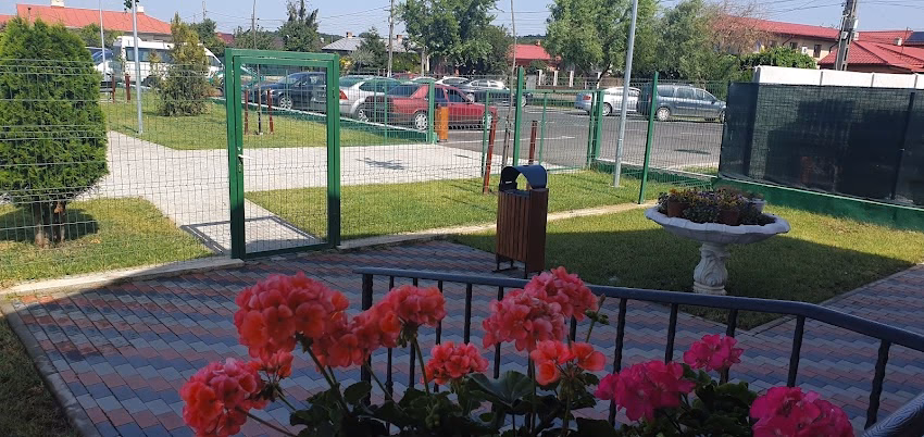 Utilitati Publice Magurele