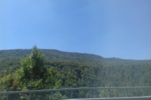 Valea Prahovei SAby Cord Impex