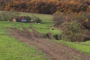 Valea Sângătinului