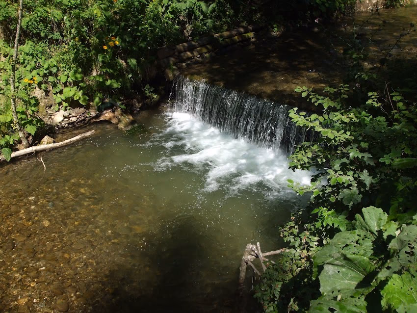 Valea Stânii