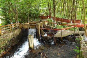 Vâltorile din Săpânța