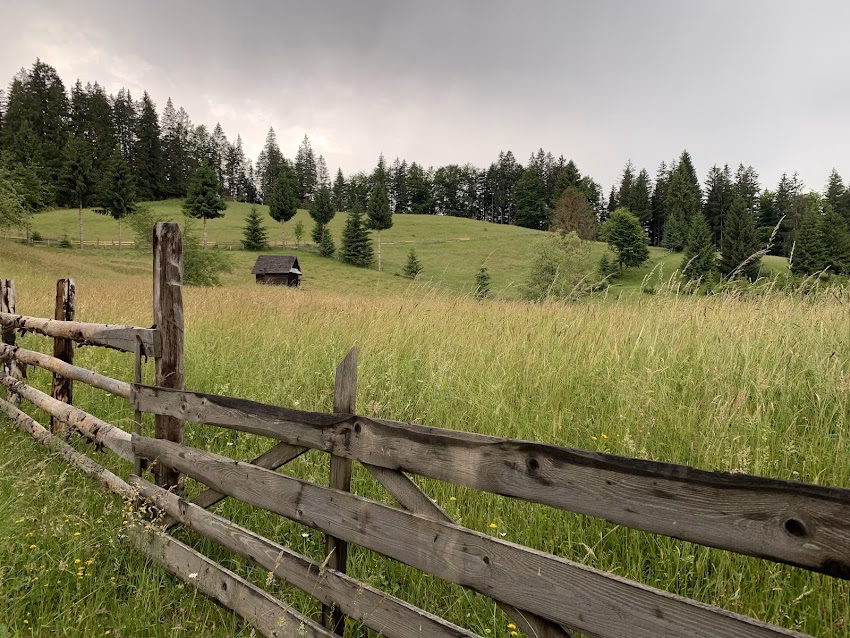 Verde De Bran Inchirieri biciclete Bran Punct Gastronomic Local Bran