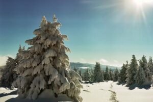 Vf Harghita Mădăraş