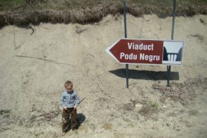 Viaductul Podul Negru
