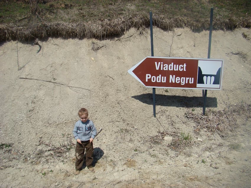 Viaductul Podul Negru