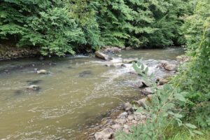 Vila Hargita Zetea Sub Cetate