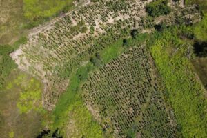 Villa Rihuini Wine House