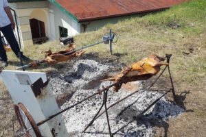 Vinarte Castel Bolovanu