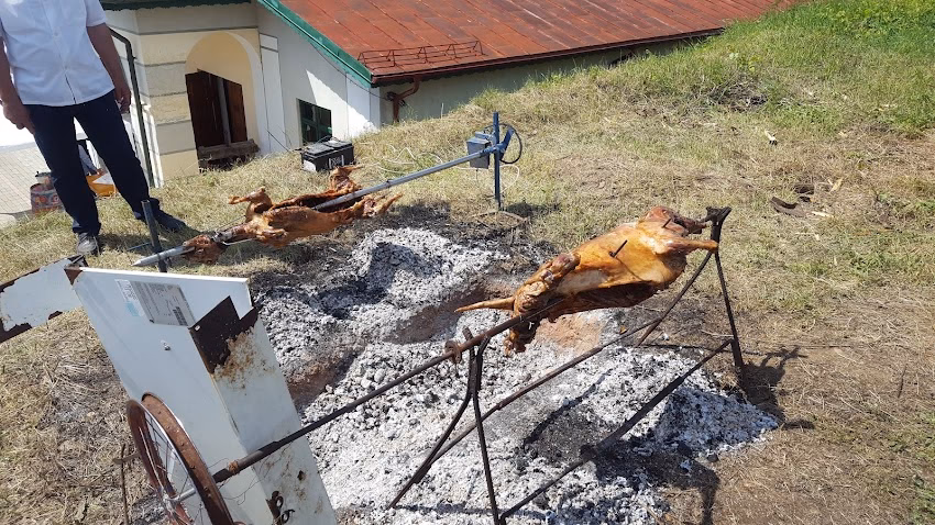 Vinarte Castel Bolovanu