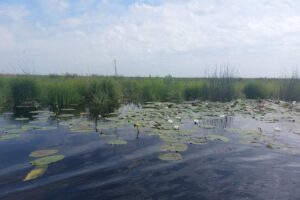 Visitor Center Sulina